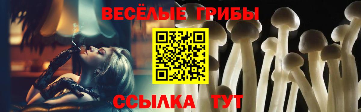 Псилоцибиновые грибы Psilocybe Солнечногорск